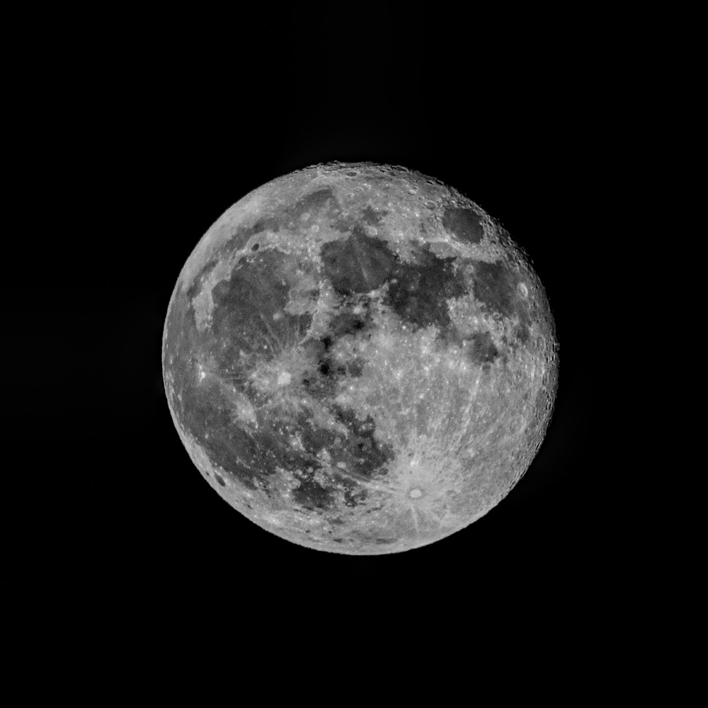 _D859863-Enhanced_dw.jpg