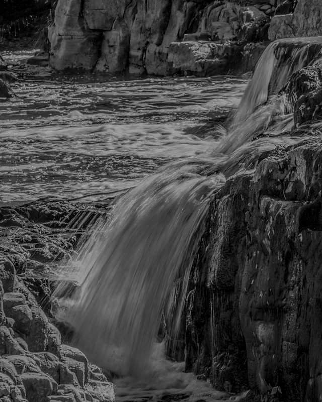 _D859915_BW_dw.jpg