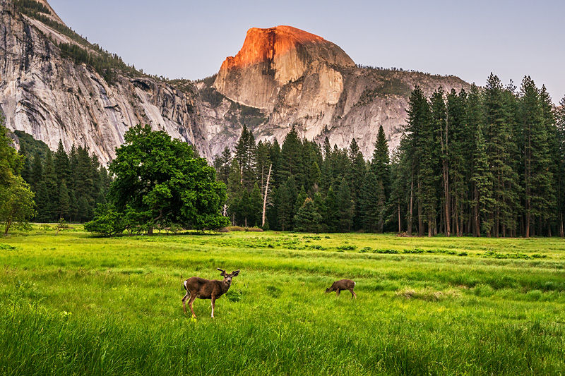 _D8C0834_dw.jpg