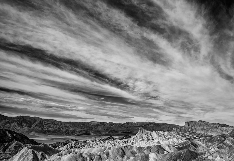 _D8C3106_BW_dw.jpg