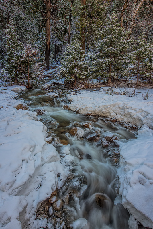 _D8C3890_dw.jpg