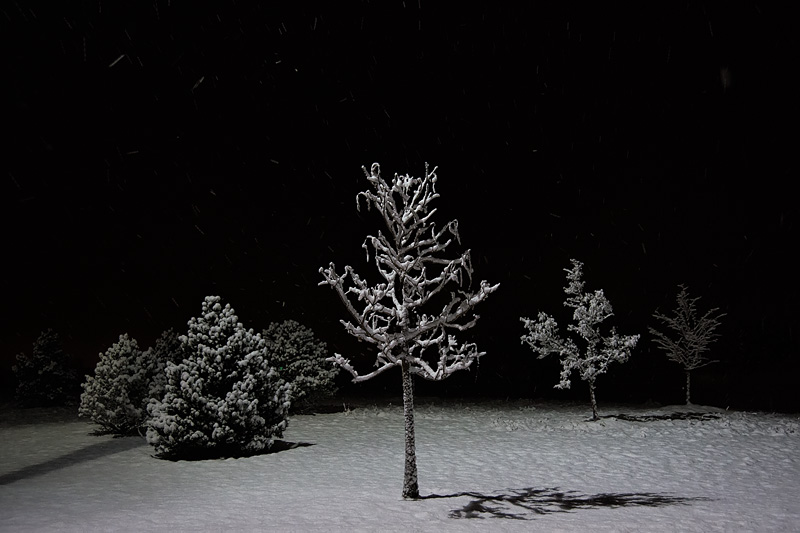 _D8C4980_dw.jpg