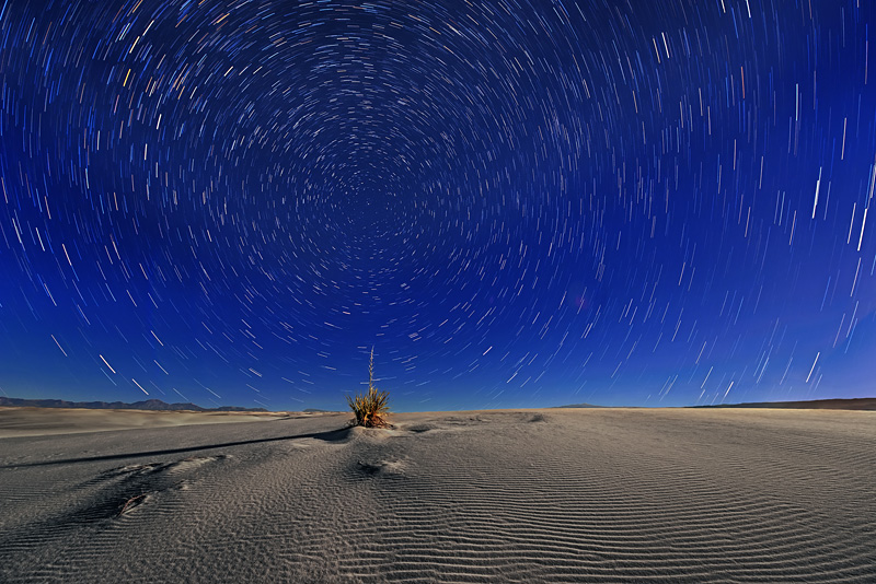 _D8C5009_5037_dw.jpg