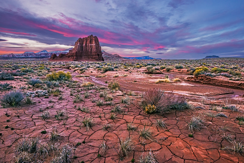 _D8C6293_d3w.jpg