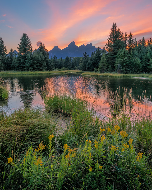 _D8E0772_8x10_d1w.jpg