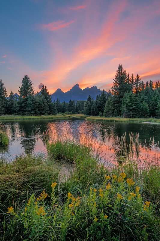 _D8E0772_dw.jpg