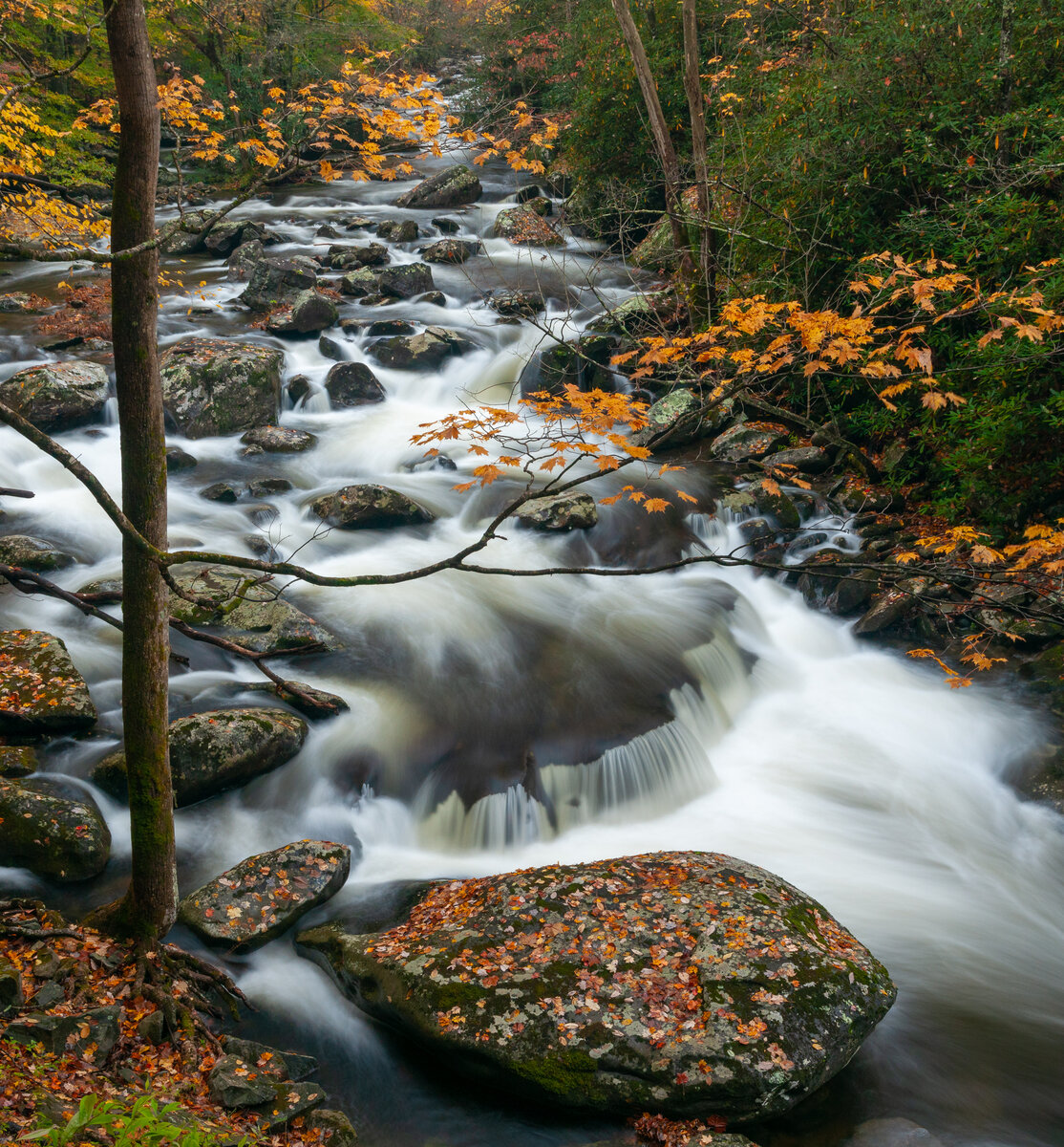 _DSC0003-Pano.jpg