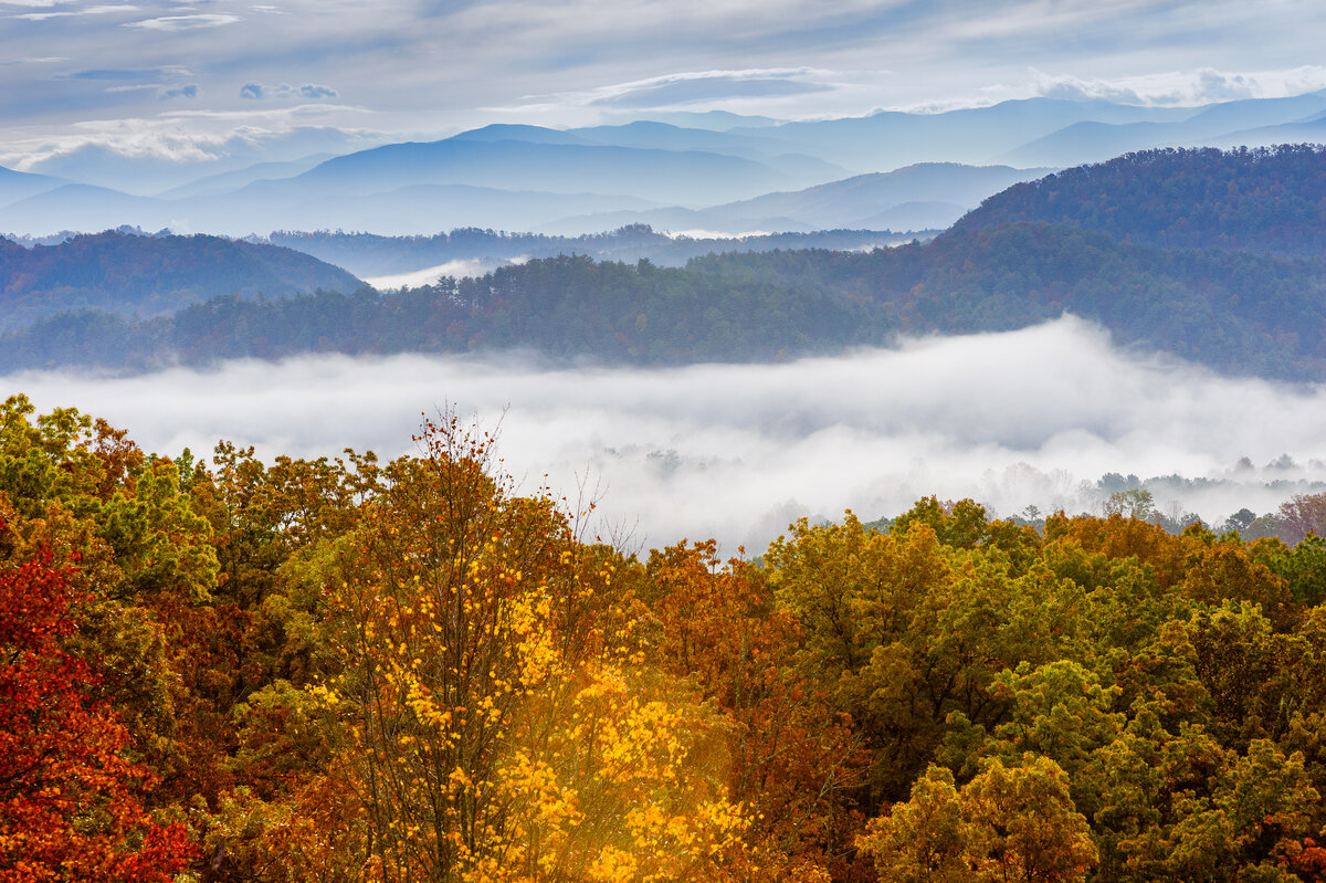 _DSC0005_004-Edit.jpg