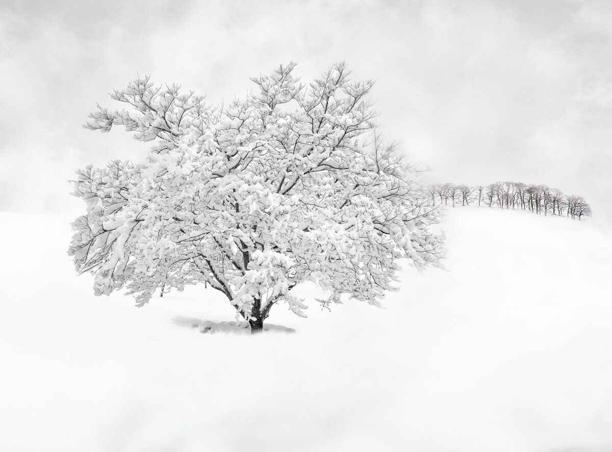 _DSC0014-Edit-Edit-Edit-Edit.jpg