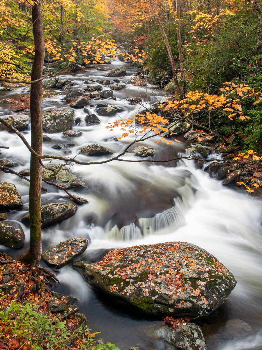 _DSC0017 (original)-2-Edit.jpg