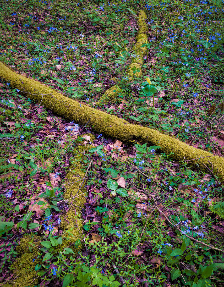 _DSC0020-Pano-Enhanced-Edit.jpg