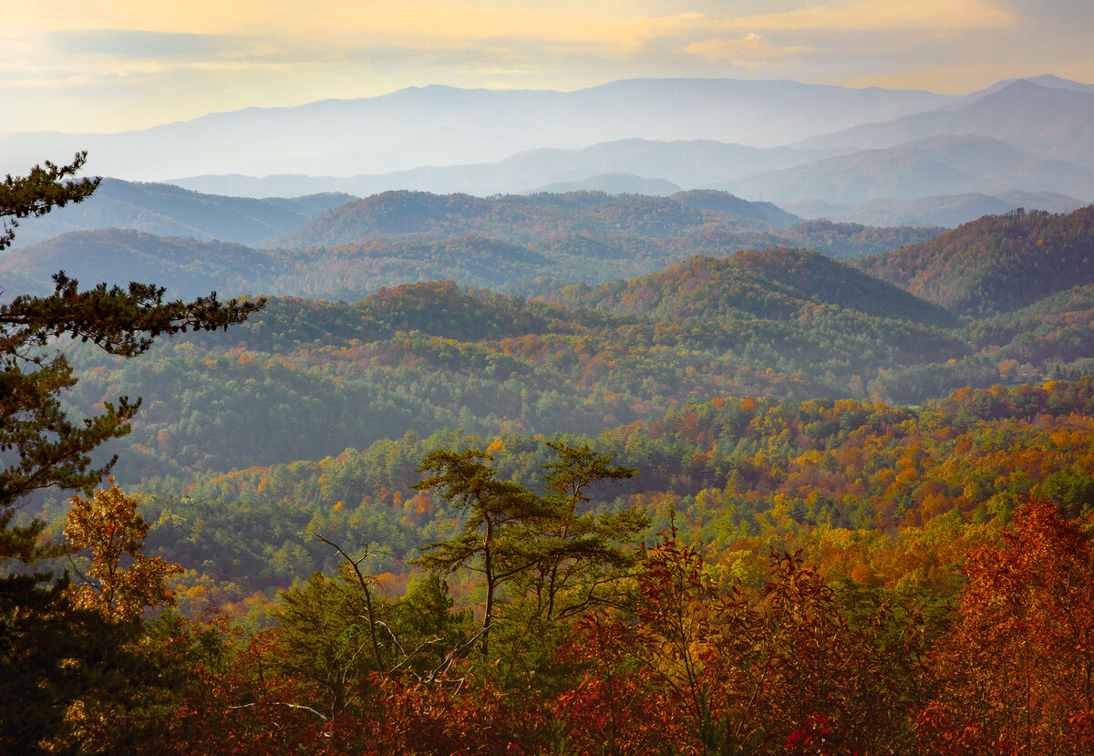 _DSC0021_020-Pano-Edit.jpg