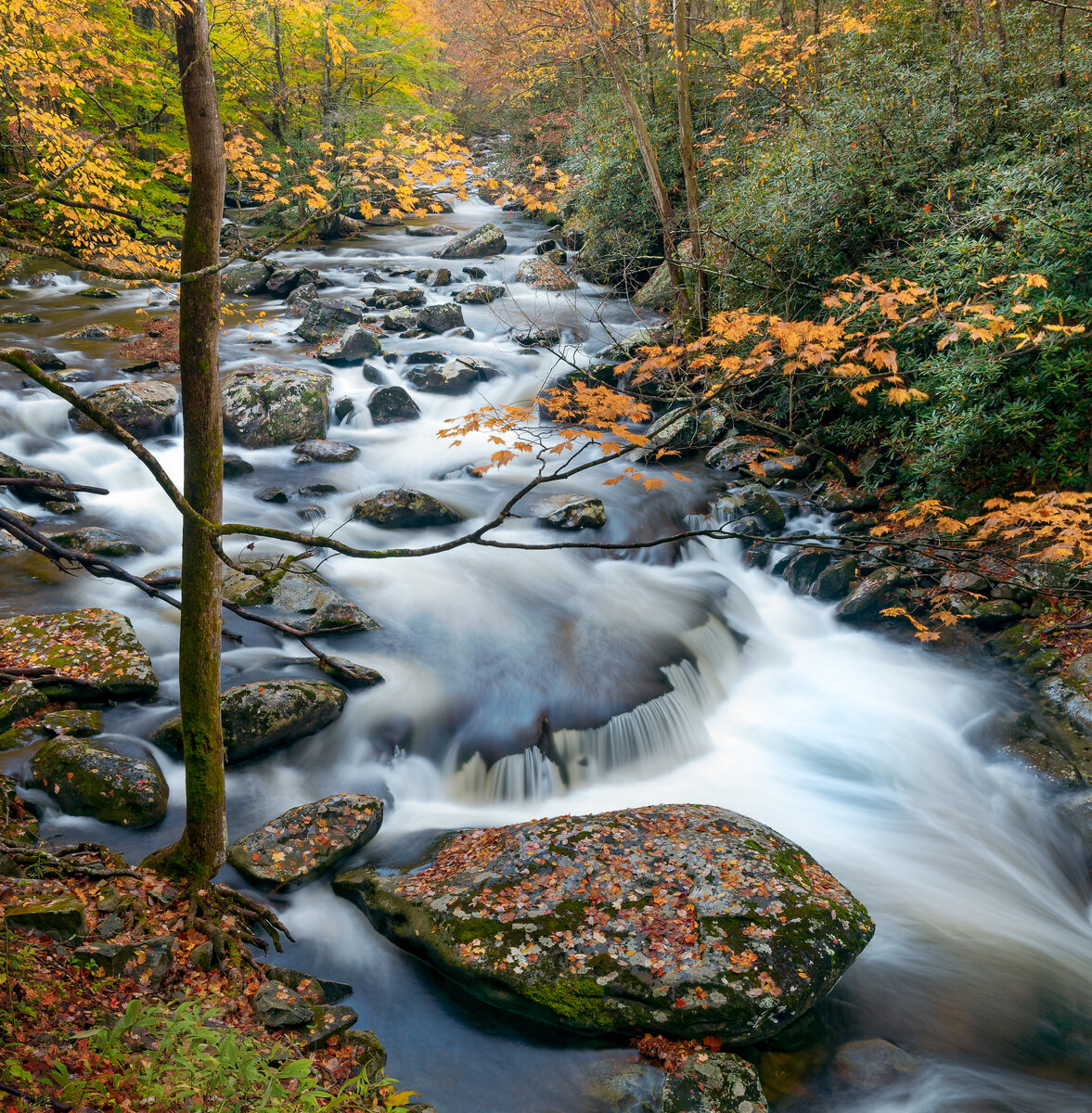 _DSC0023_DxO-Pano-Edit.jpg