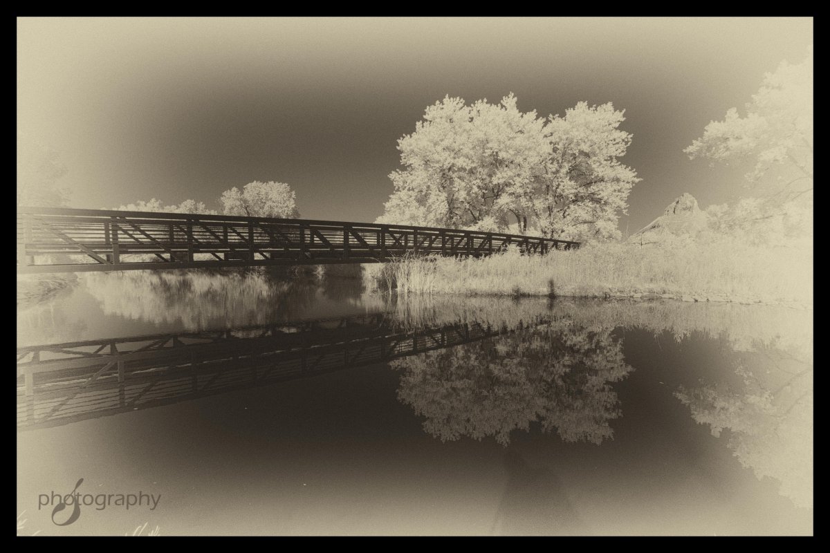 _DSC0028 sepia LR.jpg