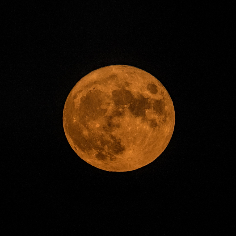 _DSC0034_dw.jpg