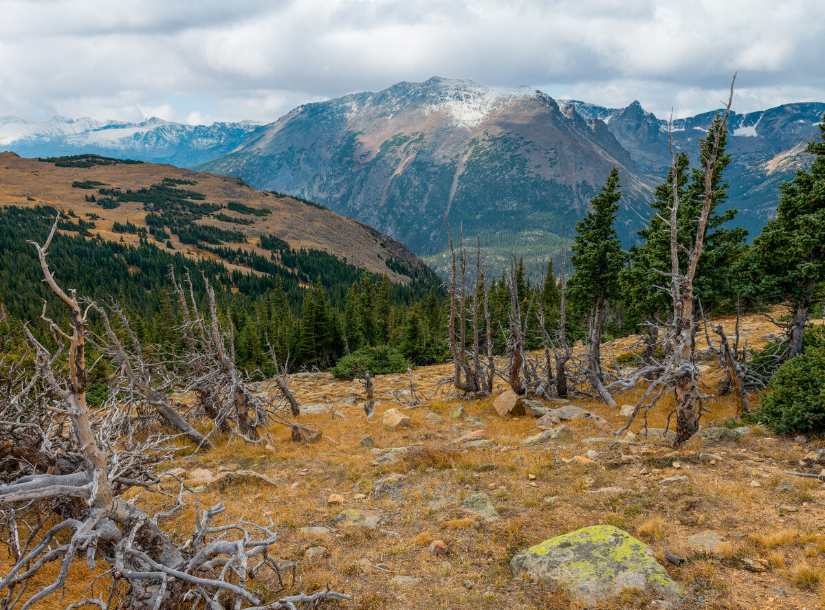 _DSC0040-NEF_DxO_DeepPRIMEXD-Edit.jpg