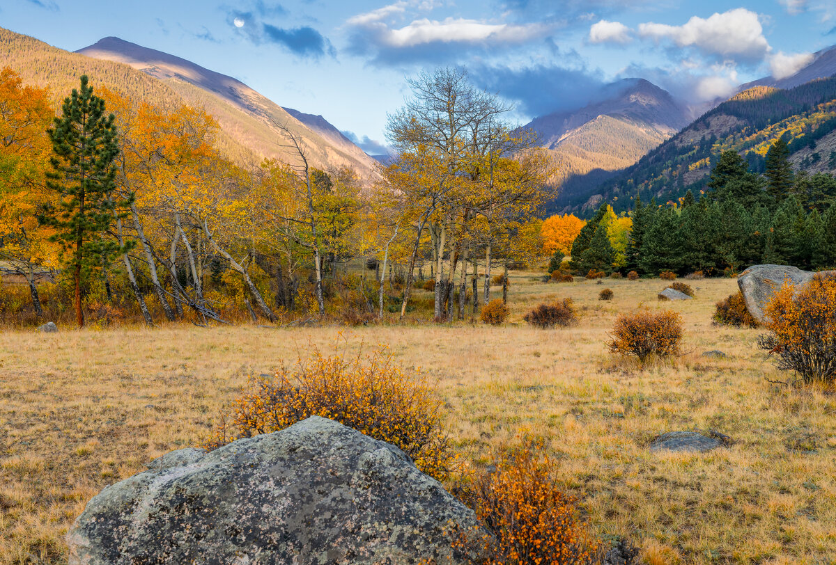 _DSC0098-NEF_DxO_HQ-Edit.jpg