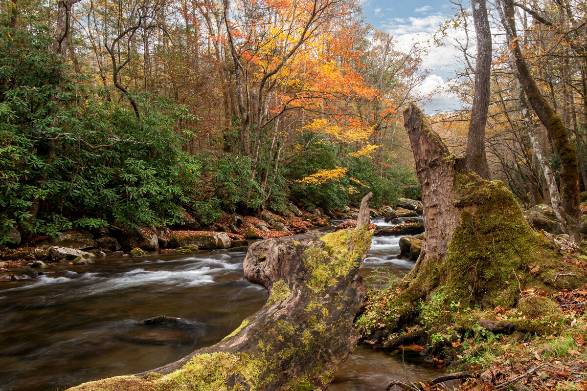 _DSC0100-Edit.jpg