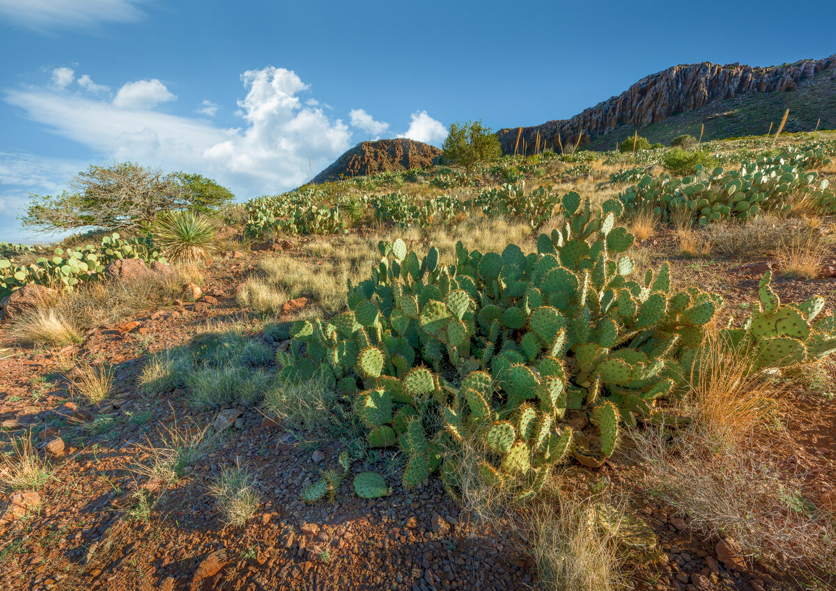 _DSC0128-NEF_DxO_DeepPRIMEXD-Pano-Edit.jpg