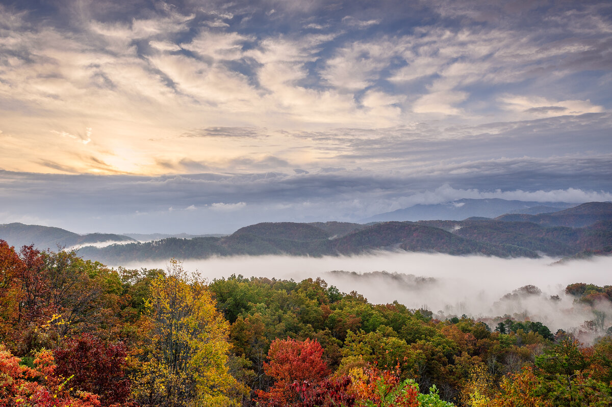_DSC0161-Edit.jpg