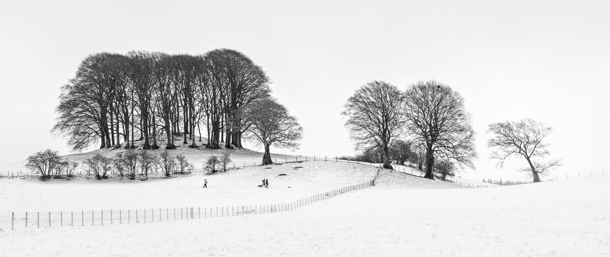 _DSC0194-1 copy.jpeg