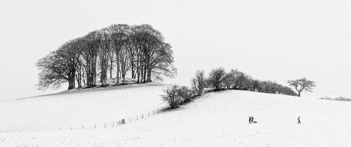 _DSC0213-2 from laptop copy.jpg