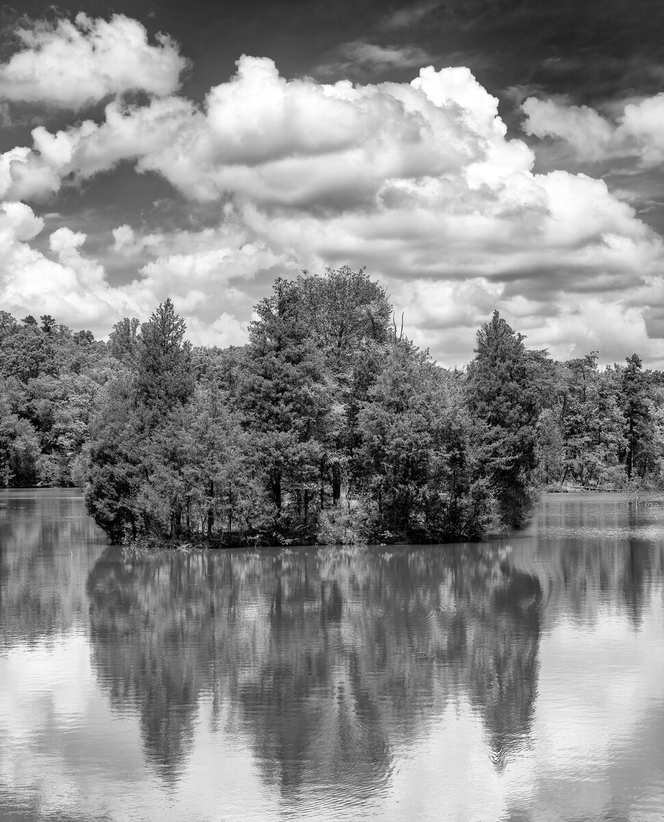 _DSC0236-Edit.jpg