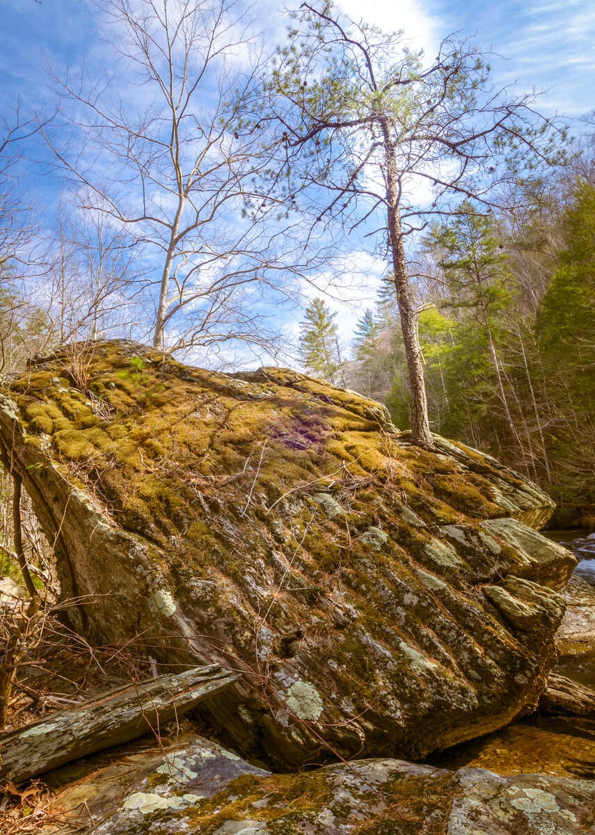 _DSC0256-Edit.jpg