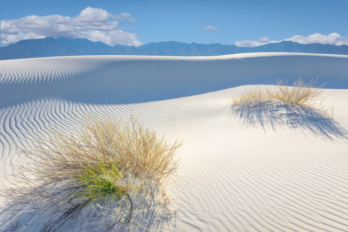 _DSC0264-Edit2 (original).jpg