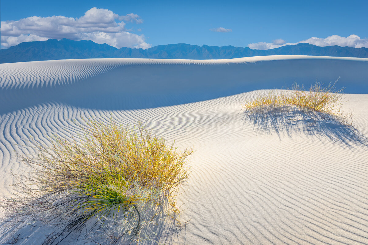 _DSC0264-Edit2 (original).jpg