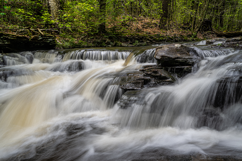 _DSC0306.jpg