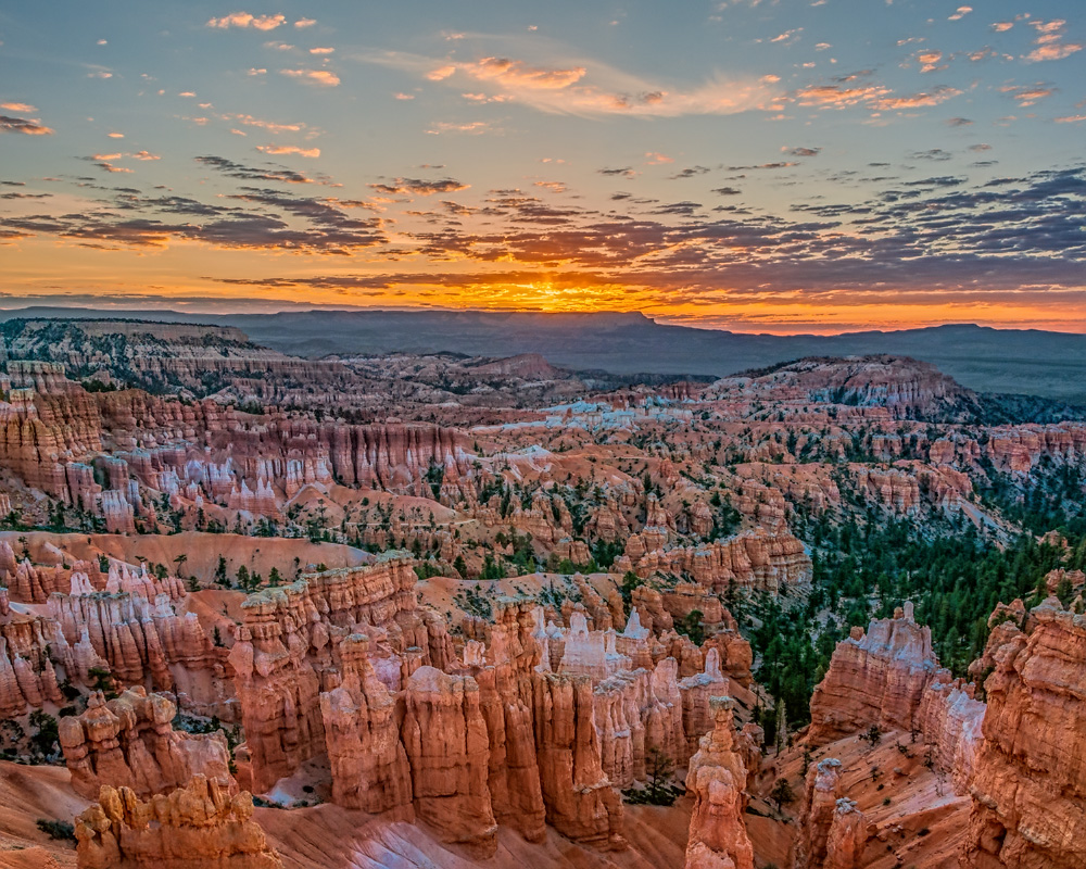 _DSC0307_16x20_dw.jpg