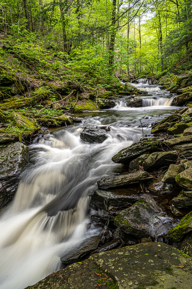 _DSC0311.jpg