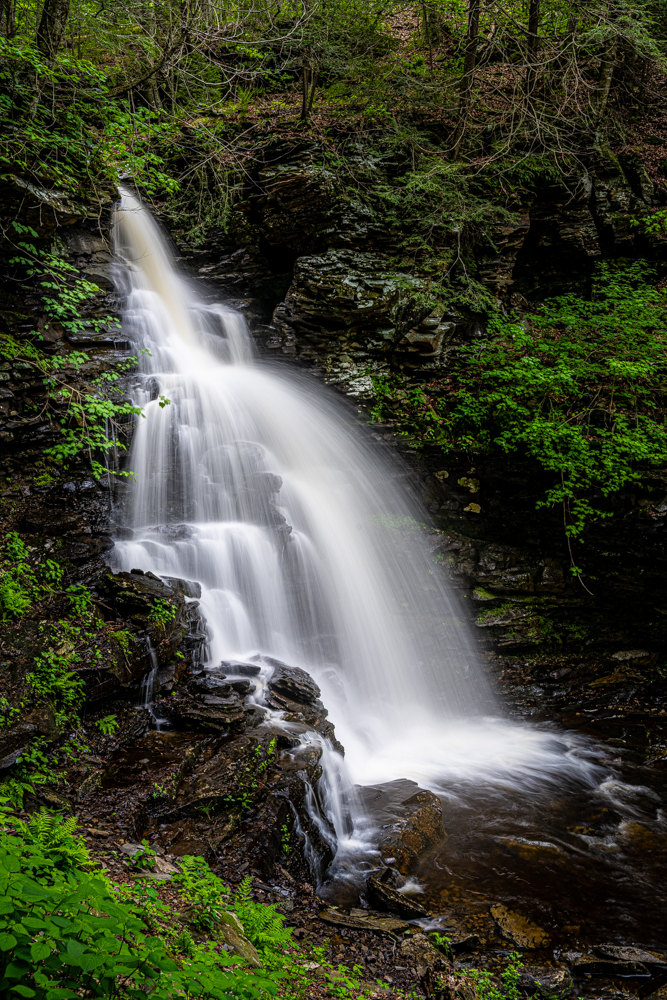 _DSC0316.jpg