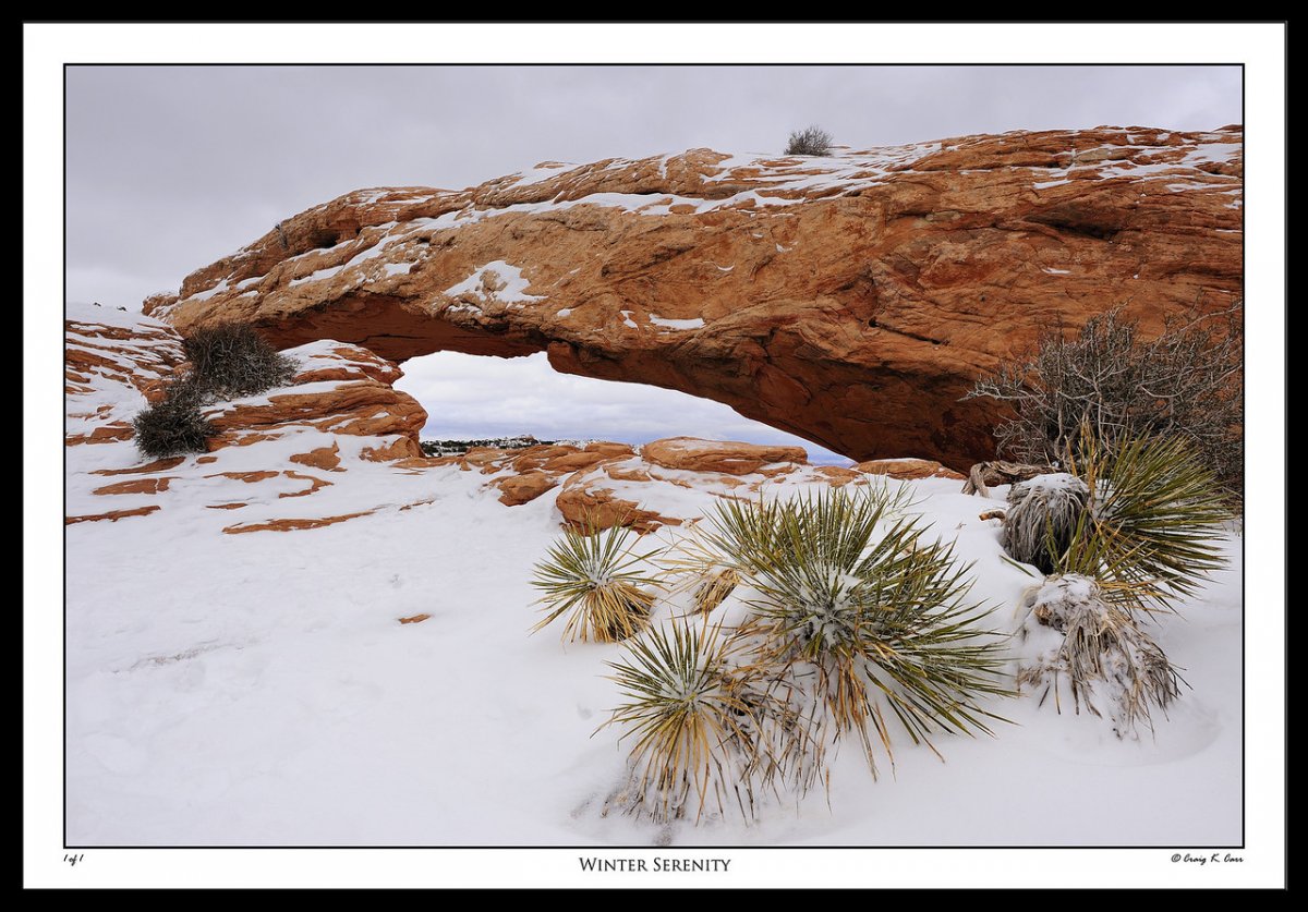 _DSC0341-X2.jpg