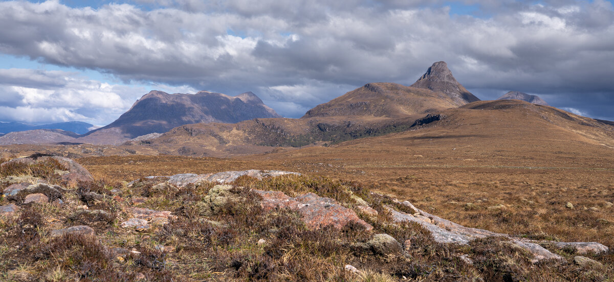 _DSC0348-1 copy.jpg