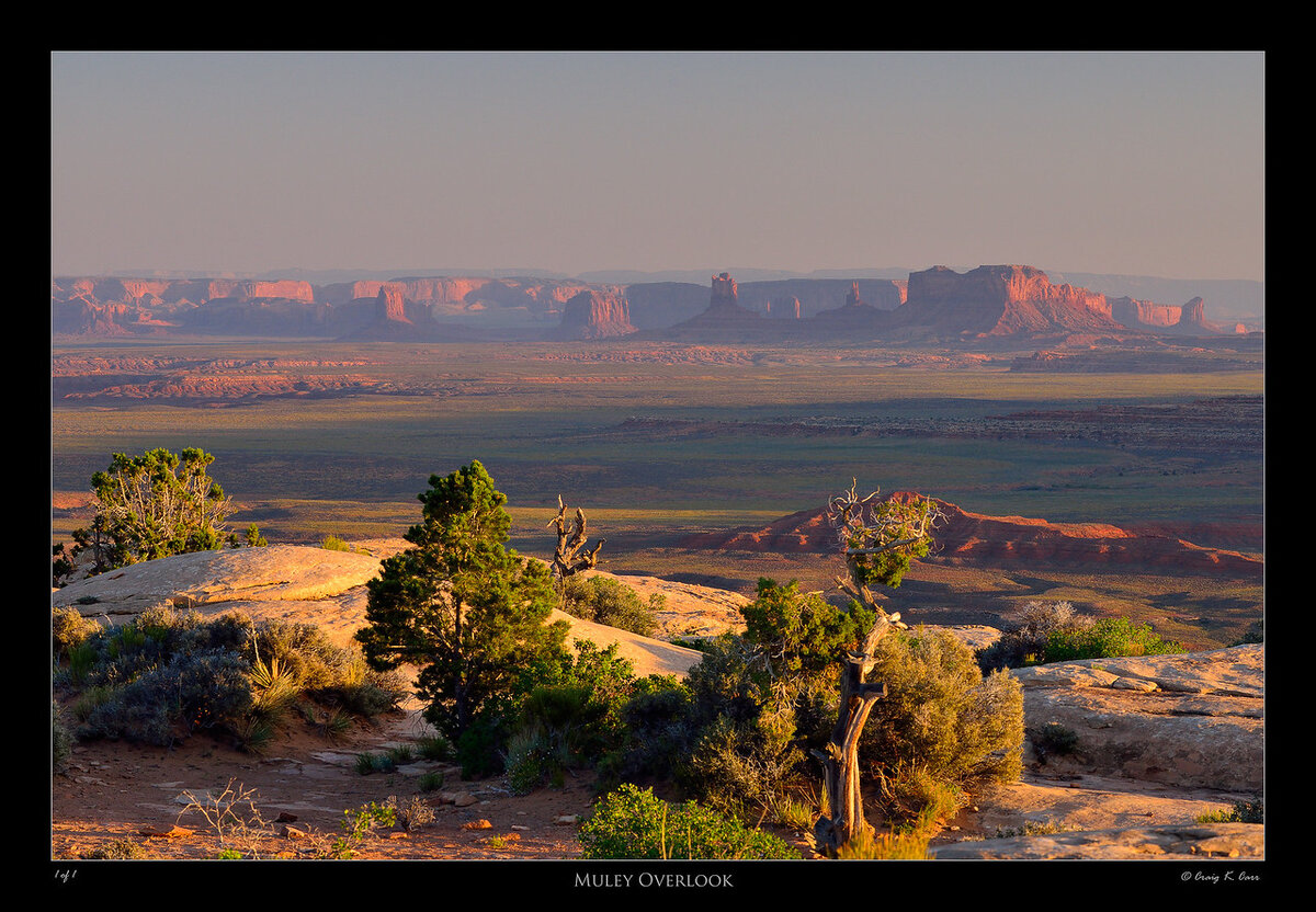 _DSC0351_1-X2.jpg