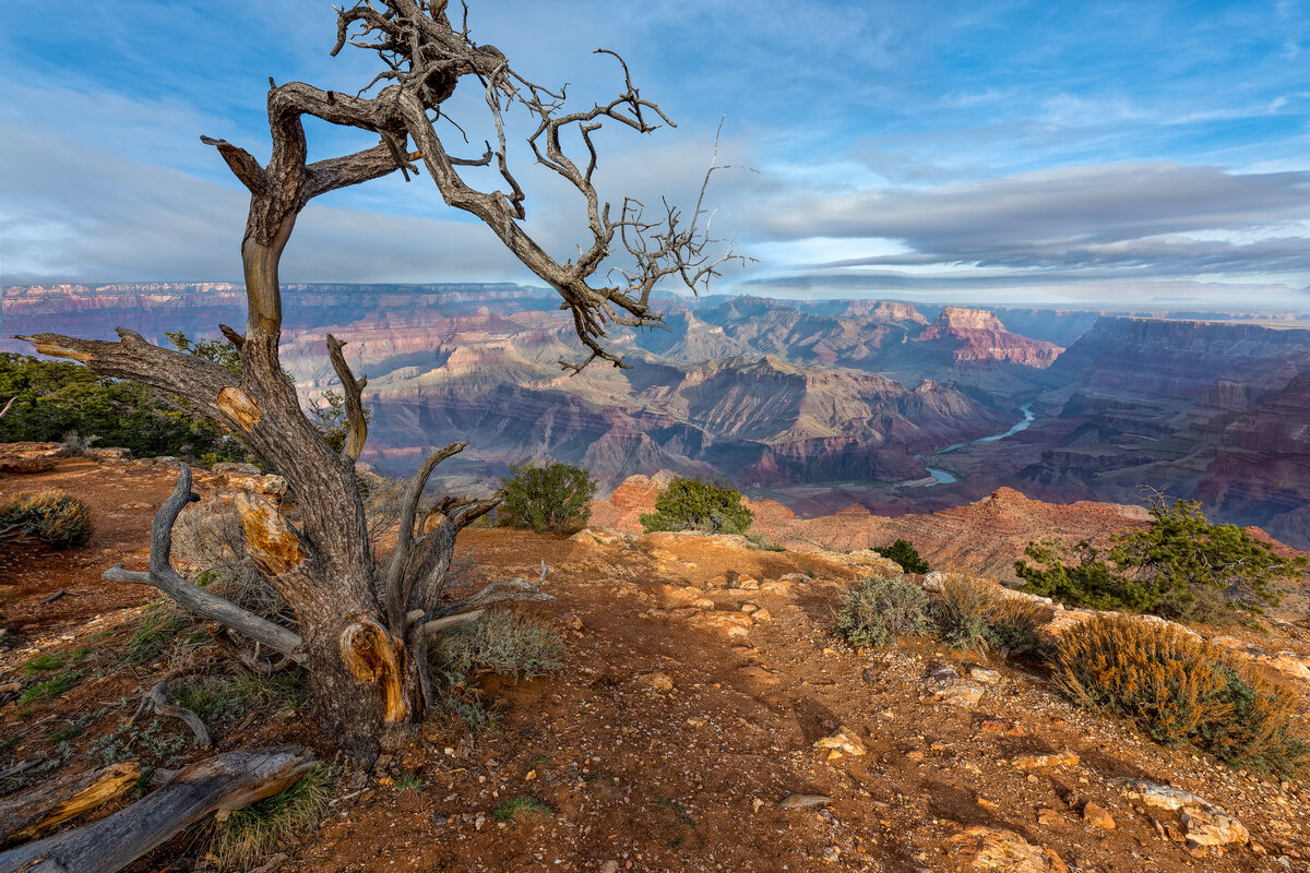 _DSC0505_DxO-Edit.jpg