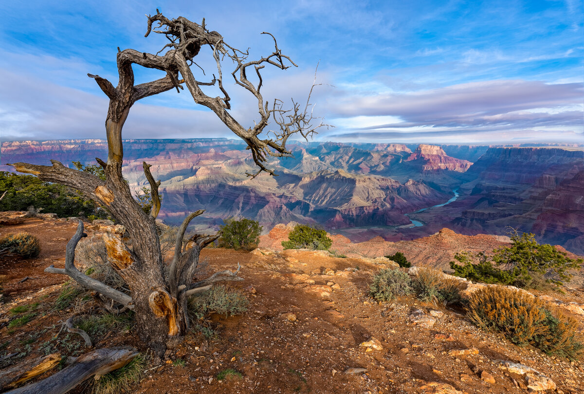 _DSC0505_DxO-Edit.jpg
