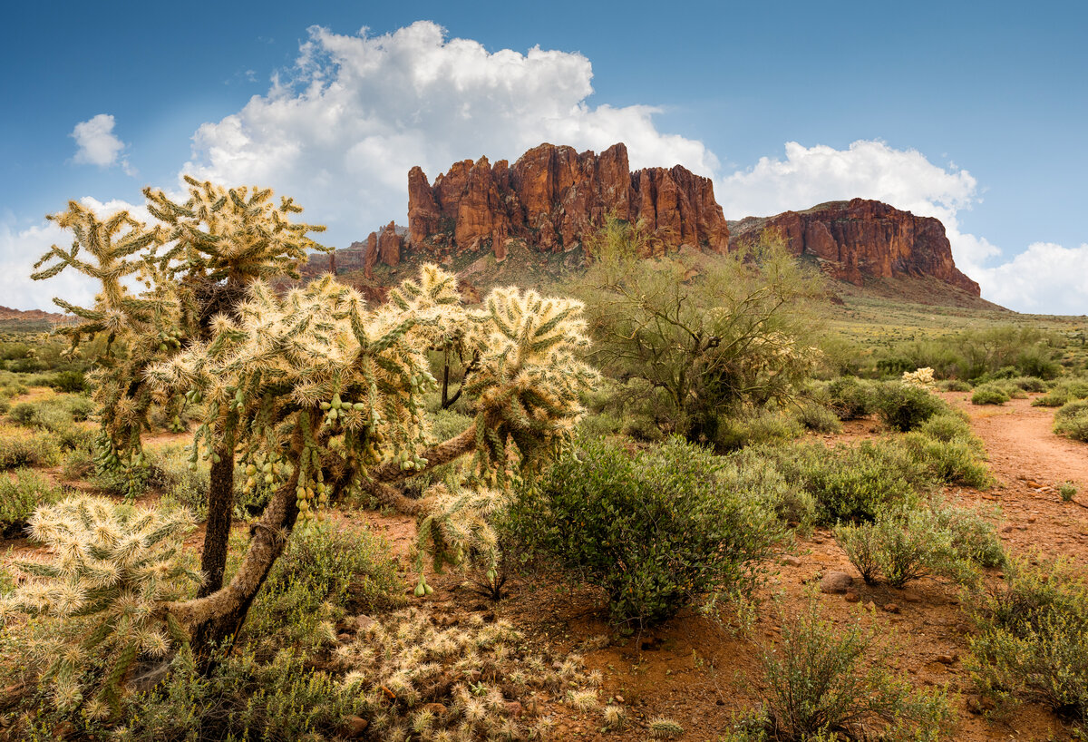 _DSC0531-Pano-Edit.jpg