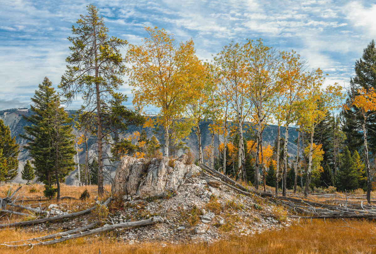 _DSC0533-NEF_DxO_DeepPRIMEXD-Edit.jpg