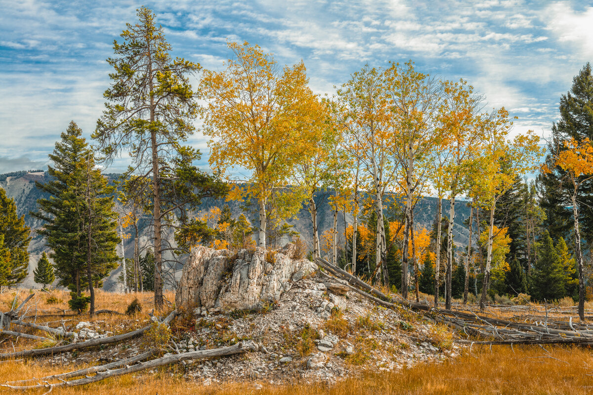 _DSC0533-NEF_DxO_DeepPRIMEXD-Edit.jpg