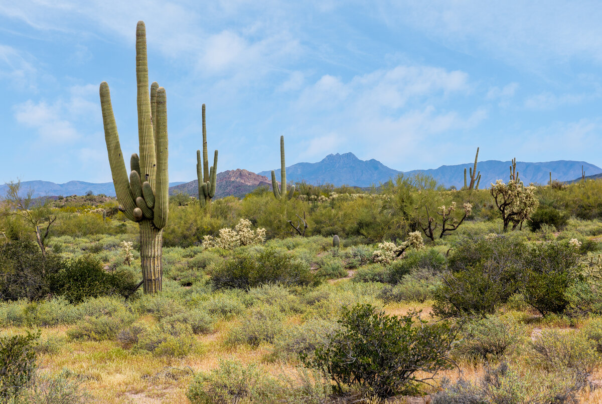 _DSC0546-Pano-Edit.jpg