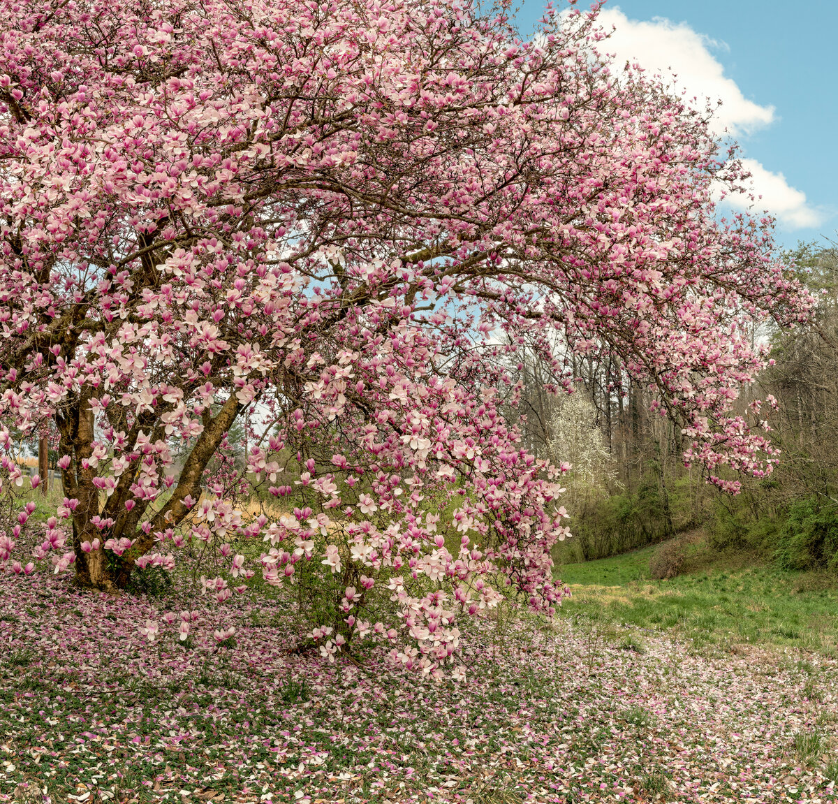 _DSC0564_DxO-Pano-Edit.jpg