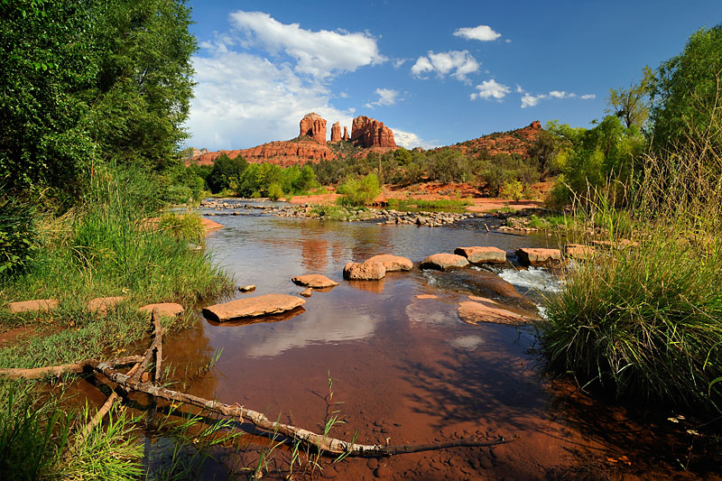 _DSC0597_dw.jpg