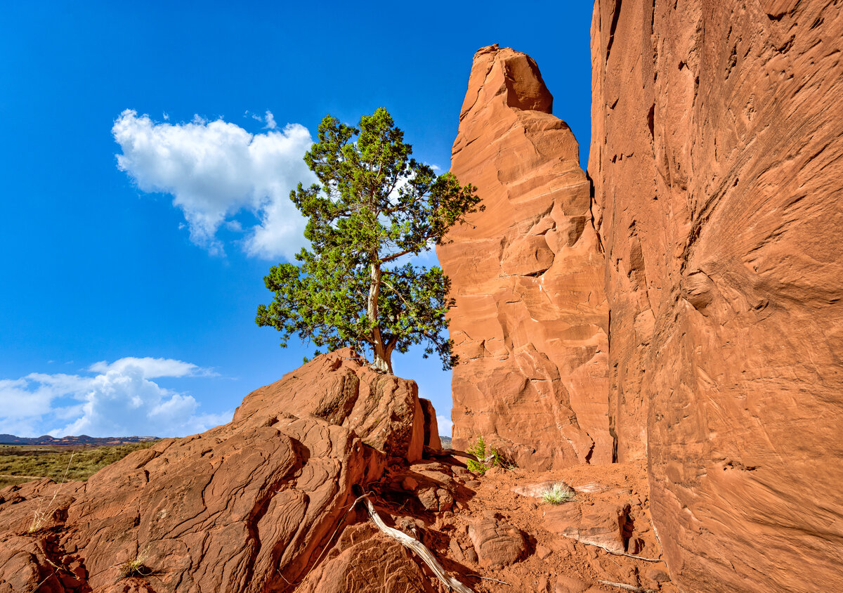 _DSC0692-Pano-1_DxO-1.jpg