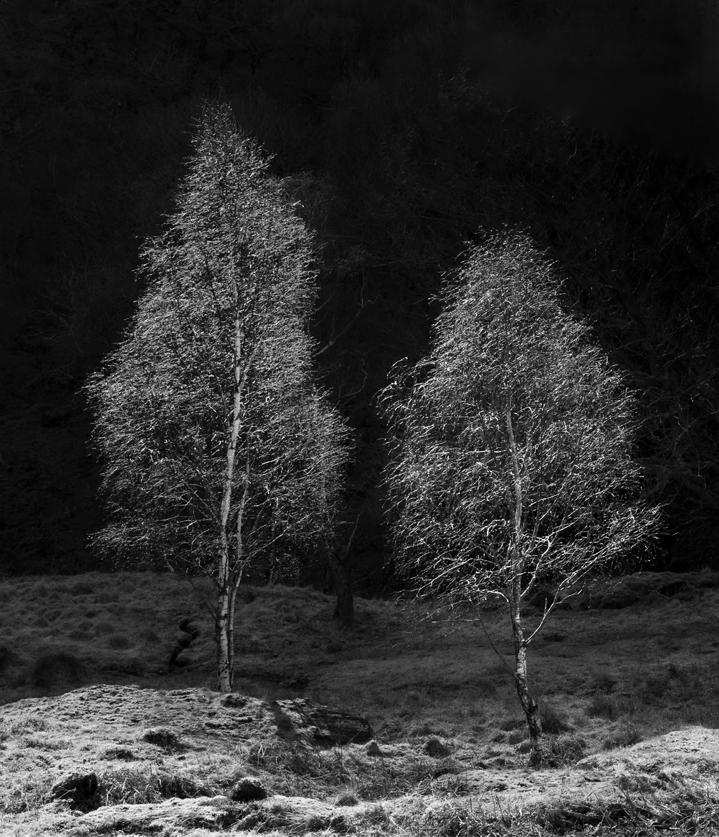 _DSC0711-1 cropped mono copy.jpeg