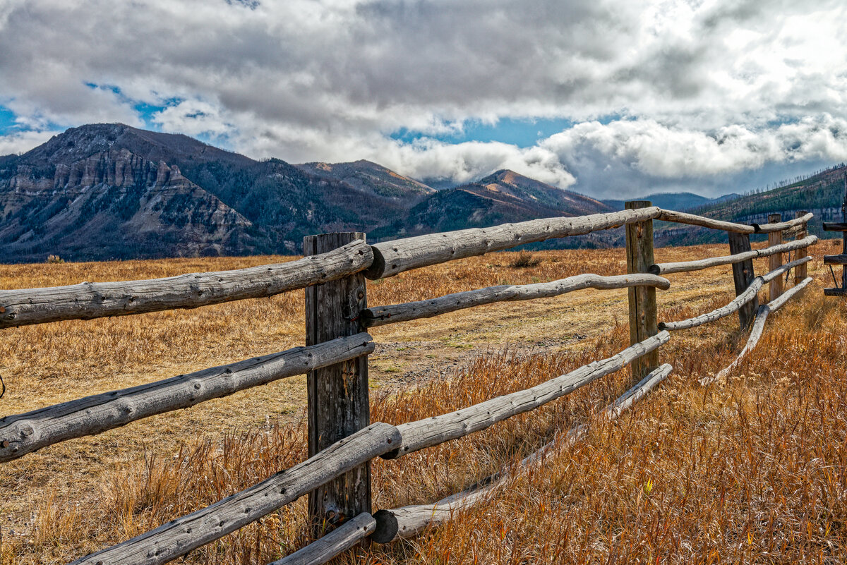 _DSC0726_DxO-Edit.jpg