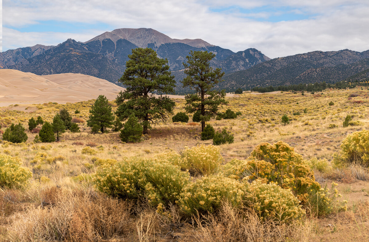 _DSC0797-Pano-Edit.jpg