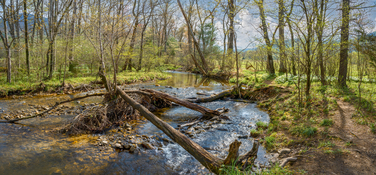 _DSC0869-Pano-Edit-2.jpg